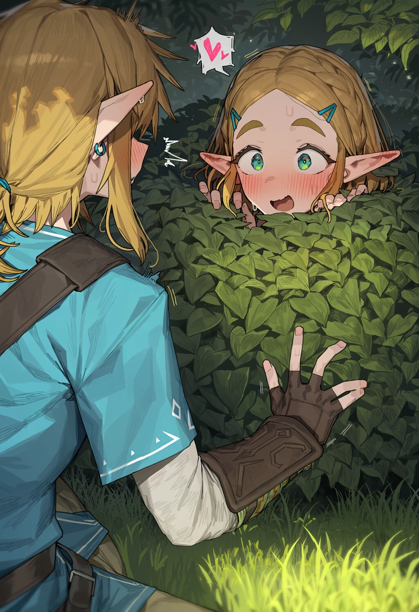 Zelda's Adventure with Traveler 14